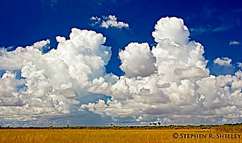 Everglades Thunderstorms